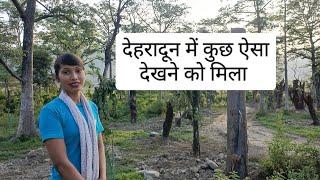 किसी काम से देहरादून जाना पड़ा।। pahadi lifestyle vlog  ।। Diksha negi uk 13     ।।