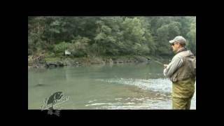 Trout Magnet: The Twitch Method