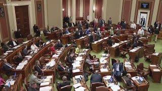 2019 MN Legislative Session begins