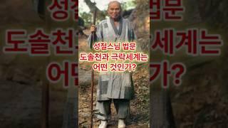 도솔천과 극락세계는 어떤 것인가? #성철스님 #부처님 #부처님말씀
