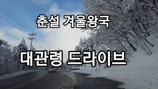 #춘설 #대관령 #겨울왕국 #꽁지차박 봄 시샘하는 폭설 겨울 왕국 대관령 드라이브