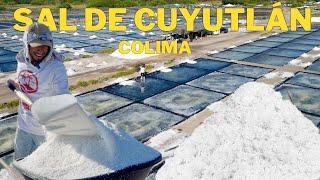 The Best Salt in Mexico?  Salt Production in Colima