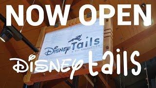 NOW OPEN! DISNEY TAILS at DISNEY SPRINGS!