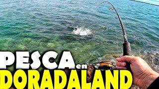 PESCANDO en DORADALAND!! Tiioooo no veas la de doradas que salieron este día. [Pesca en Mallorca]