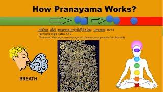 What is Pranayama | How it works | Benefits & Types of Pranayama