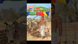 गायमाता की सेवा किया? #comedy #mahakumbh #cow