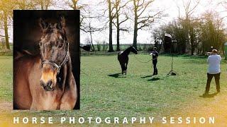 Horse Photoshoot Session