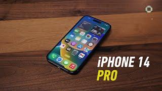 iPhone 14 Pro 2 Months Later: Worth upgrading from iPhone 13 Pro?