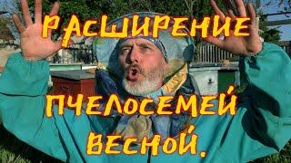 РАСШИРЕНИЕ ПЧЕЛОСЕМЕЙ ВЕСНОЙ.