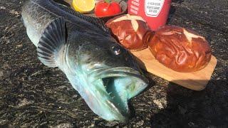 Jetty fishing for LINGCOD: catch, Cook and EAT!! **how to fish swimbaits**