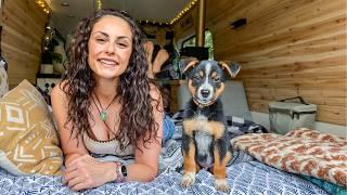 Solo Female Van Camping with my New Puppy!