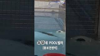 종보전센터 수달네 POOL빌라