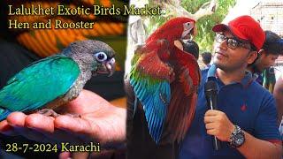 Lalukhet Exotic Birds Hen and Rooster Market 28-7-24 Karachi | Unique and Rare Parrots | सुंदर पक्षी