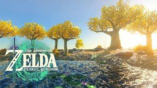 ️ Great Sky Island｜Tears of the Kingdom｜ZELDA Ambience