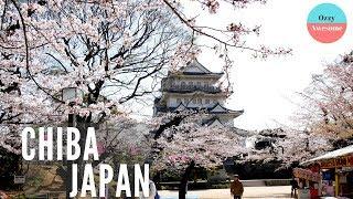 How To Enjoy A Day In Chiba Japan!