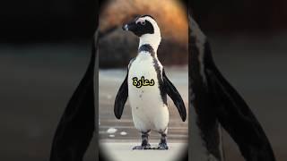 اغرب 5 ممالك حيوانية غريبة #حقائق #معلومات #حيوانات #معرفة