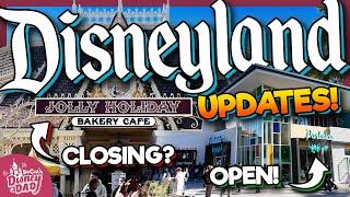 Disneyland Construction Updates & Ride Closures JANUARY 2025