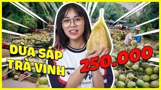 Misthy: “Trà Vinh và trái dừa mắc nhất” || THY ƠI MÀY ĐI ĐÂU ĐẤY ???