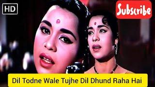 Dil Todne Wale Tujhe Dil Dhund Raha Hai - Sun of India (1962) - Lata Mangeshkar, Mohammad Rafi