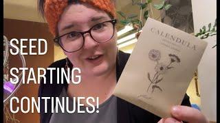Seed Sowing, Round 2 + a status update from the Leafy Geek Indoor Greenhouse!