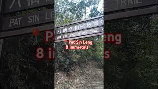 hike to pat sin Leng or 8 immortals #hongkong #nature #shorts