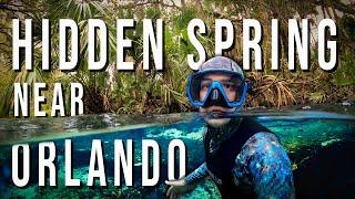 Rock Springs Run - Exploring Secluded Spring Near Orlando