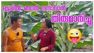 ഇനിയും മാറ്റങ്ങൾ.../Agriculture tips /Krishi /Solar Street light /Vegetable harvest