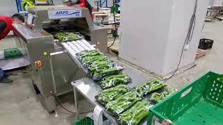 vegetable packaging machine