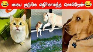 எங்கப்பனுக்கு நான் ஒரே புள்ள‍⬛#viral #trending #comedy #funnyanimalvideos