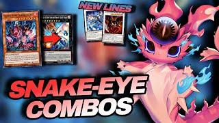 Snake-Eye Combos Post Banlist And LEDE Support -Ft. Snake-Eyes Diabellstar-