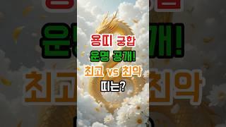 용띠 최고 vs 최악 띠 궁합은?