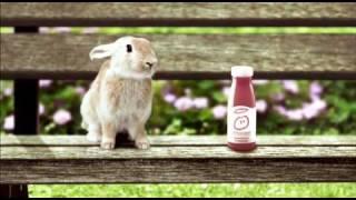 another advert with a rabbit in it