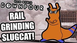 DA VINKI SLUGCAT Can TRICK JUMP!  | Rain World Downpour