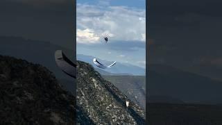 NAME THE TRICK! WRONG ANSWERS ONLY!! #shorts #paragliding #extreme