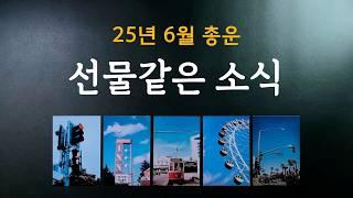 [타로] 25년 6월 이런 소식이 도착하게 됩니다.  타로카드가 알려주는 6월의 선물같은 소식