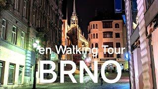 Brno walking guided tour towards Old town Hall Tower & Cathedral of St. Peter and Paul