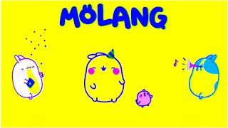 Molang logo intro after effeCts | molang logo effects with sound variations