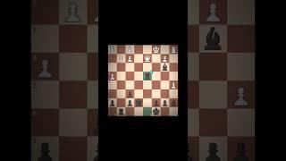 Double Rook Sacrifice!!