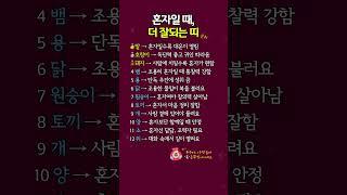혼자일 때 더 잘되는 띠 순위