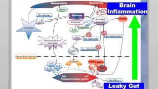 MTHFR and Homocysteine - Part III
