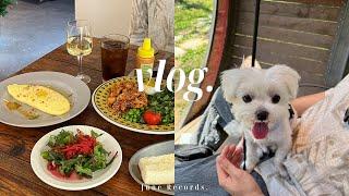 vlog. 애견동반 효창공원 브런치, 산책, 키쉬 맛집 | 요즘 핫한 용리단길, 삼각지 맛집 모음.zip️ | 남산 등산 | 판교 파스타 맛집 | 900일 데이트 