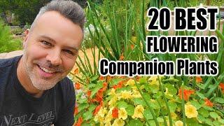 Best Companion Planting Flowers for the Vegetable Garden