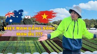 Kiếm tiền ở Úc với Việt Nam: Nơi Nào Đáng Sống Hơn