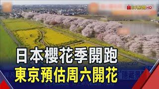 遊客準備衝! 日本櫻花季開跑 氣象協會預測東京周六開花｜非凡財經新聞｜20250318