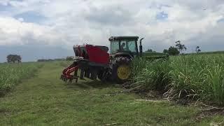 Verion Agricultura - Incorporadora Palmira para Caña de Azucar