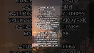 Дуа Кунут #коран #сура #палестина #дуа #ислам #пророк #аят