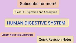 Human Digestive System | Class 11th Biology | Biology Notes with Explanation | Quick Revision Notes