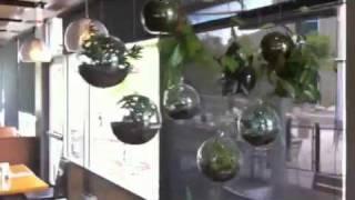 Hanging Glass Globe Bubble Terrariums - Modern, Eco Friendly Decor