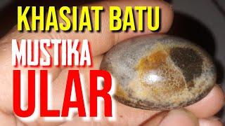 Penampakan Mustika Ular Asli Dan Khasiatnya