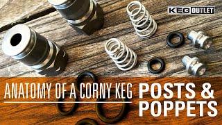 How to Replace Corny Keg Posts & Poppets to Keep Your Keg Leak Free